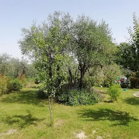 דירה Agli Olivi Di Marciano *
