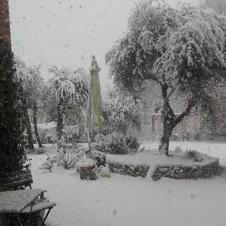 Lejlighed Agli Olivi Di Marciano Siena