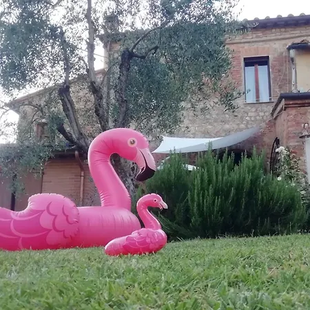 Agli Olivi Di Marciano Lejlighed