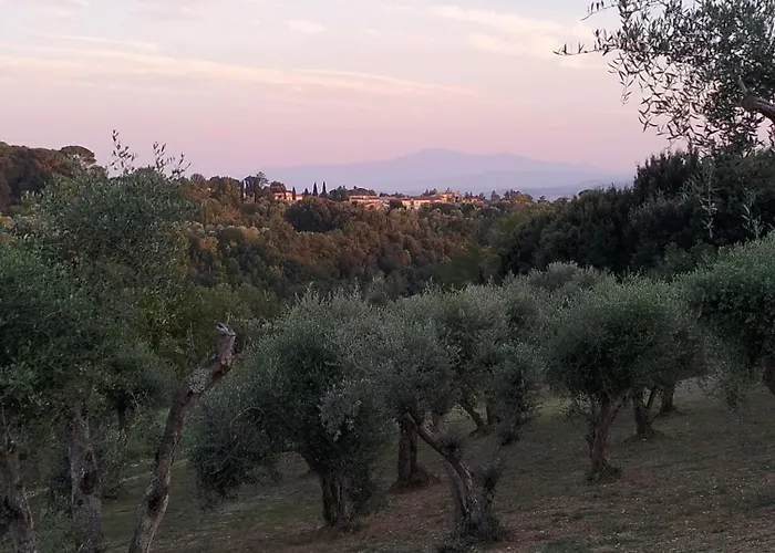 Agli Olivi Di Marciano Апартаменты