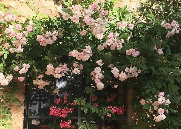 Agli Olivi Di Marciano * Сиена