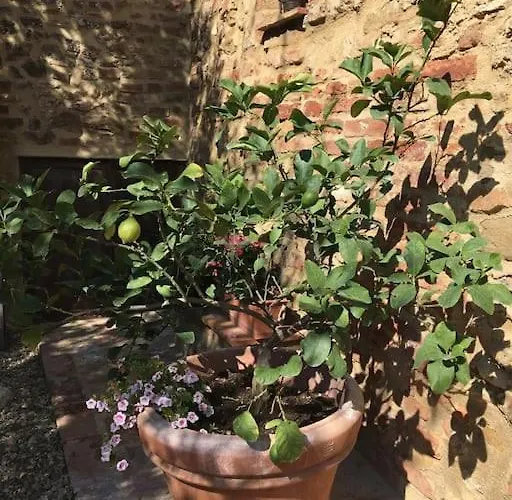 Agli Olivi Di Marciano