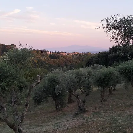 Agli Olivi Di Marciano Апартаменти