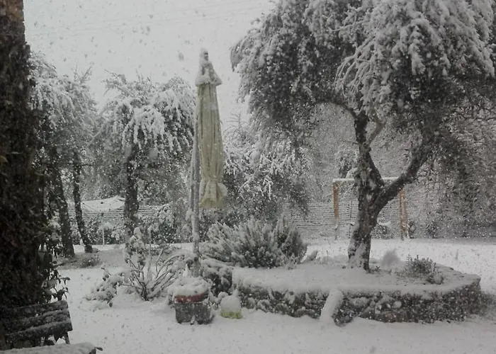 Апартаменти Agli Olivi Di Marciano Сієна