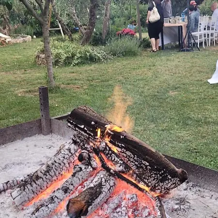 Agli Olivi Di Marciano